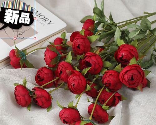 花开纷繁，色彩之美——不同颜色玫瑰花的含义（红）