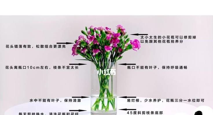 怎样醒花鲜切郁金香（掌握这些方法）