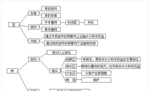 圆葱的生长周期（了解圆葱的生长周期）