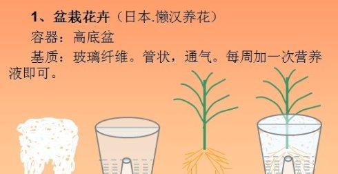 如何优化节白蜡种植土壤（探讨节白蜡配土方法及其应用）