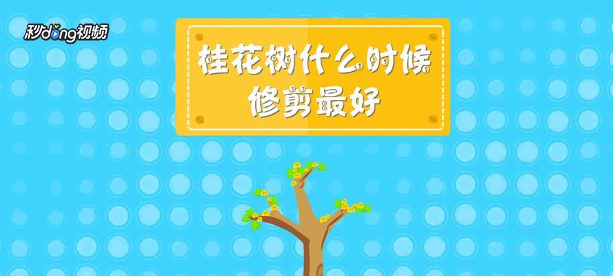 龙眼树剪枝的最佳时机是什么时候？剪枝后如何促进生长？