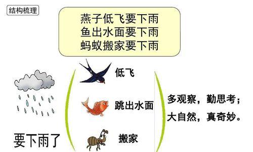 芦苇的生长周期是多长时间？如何正确管理芦苇生长环境？