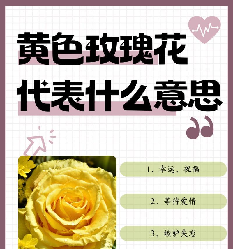 301朵玫瑰花代表什么？送301朵玫瑰花的寓意是什么？