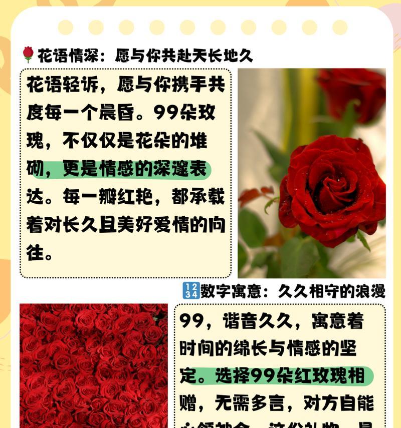 1332朵玫瑰花有什么特别含义？解释一下含义是什么？