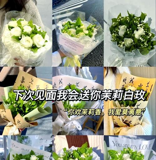 茉莉花代表了哪些情感？茉莉花的花语有哪些？