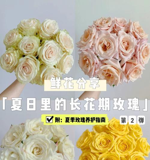 塑料玫瑰花颜色的含义是什么？各颜色代表什么意义？