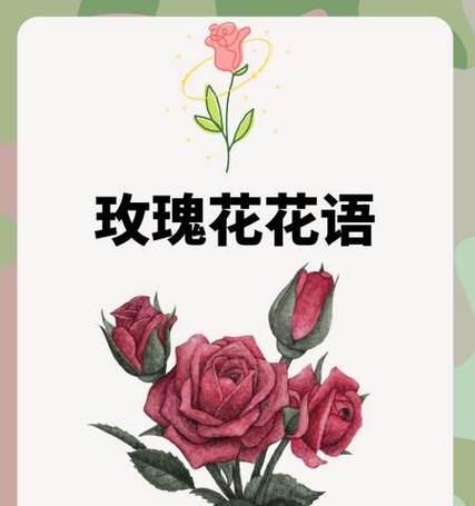 什么花的花语是悲伤？它们通常用来表达什么情感？