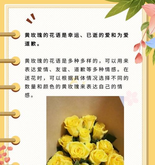 男生送玫瑰花有何寓意？它的花语是什么？