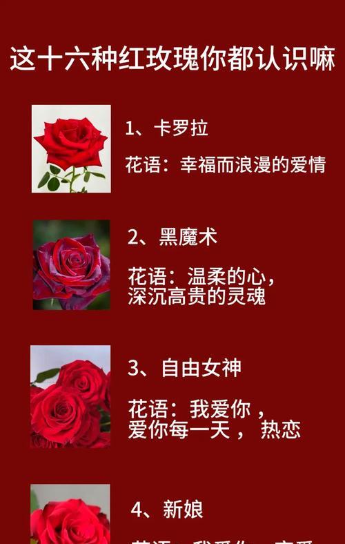 自己送自己几支玫瑰花什么意思？这种行为有何含义？