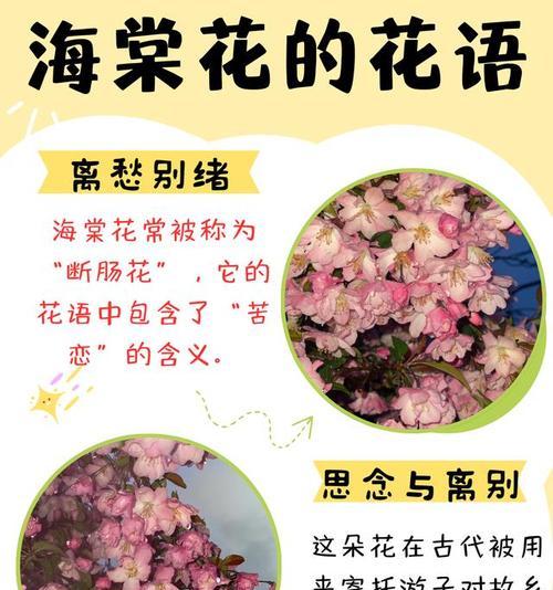 海棠花通常代表什么意义？