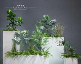 植物隔断注意问题怎么写？植物隔断的设计和养护要点是什么？