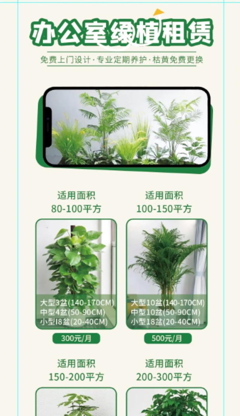 植物隔断注意问题怎么写？植物隔断的设计和养护要点是什么？