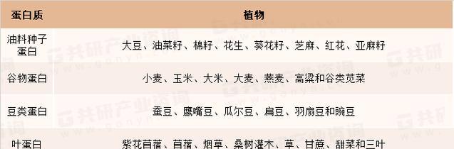 高蛋白植物有哪些种类？如何选择和食用？