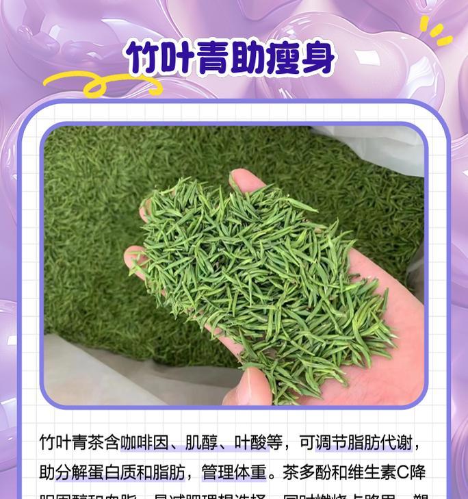 竹叶青植物的养殖方法是什么？需要特别注意什么？