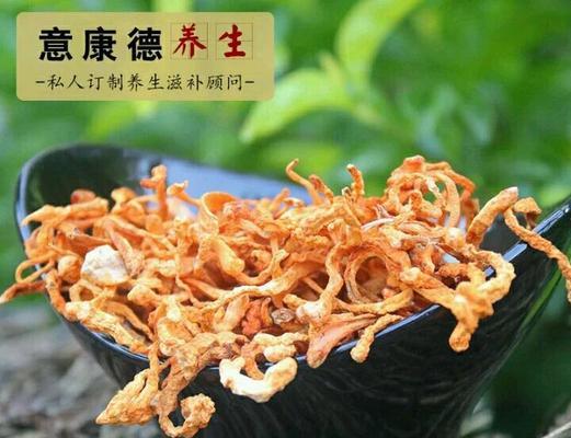 哪些花卉可以食用？它们的营养价值和食用方法是什么？