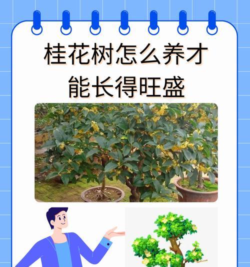 植物如何制造生长所需营养？需要哪些条件？