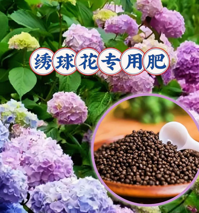 花卉使用哪种淡肥更容易养活？淡肥的正确使用方法是什么？