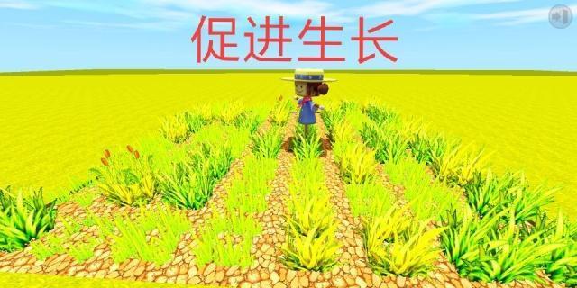 魔幻迷你世界植物种植技巧是什么？