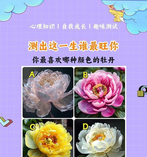 牡丹花颜色选择指南？