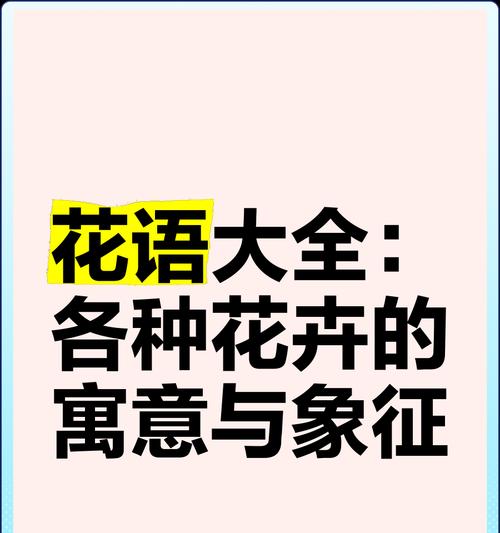 受欢迎的花花语是什么意思？它象征着怎样的受欢迎特质？