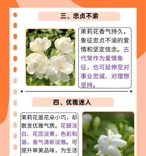 野生茉莉的花语有何寓意？