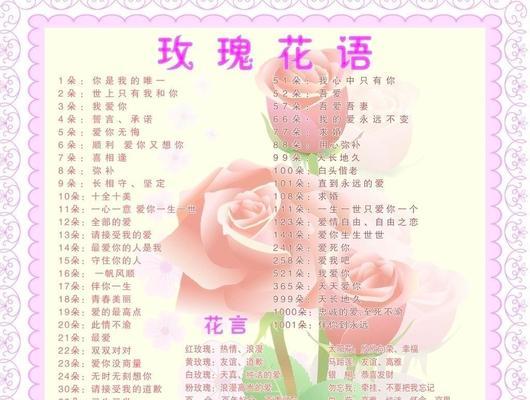 玫瑰花语代表什么意义和象征？玫瑰的不同颜色有不同花语吗？