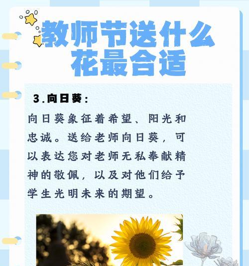 什么花的花语最动人？如何选择花语表达爱意？