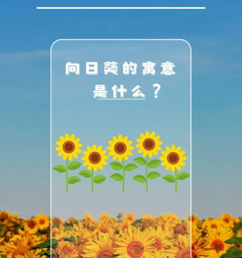 哪些花语表示不重要？花语中不重要的象征是什么？